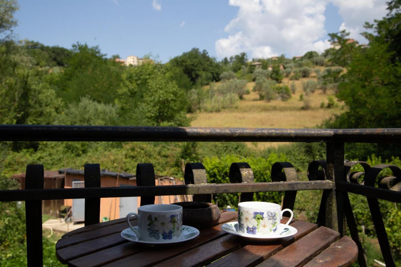 B&B Villa Il Noce Picinisco Ngoại thất bức ảnh