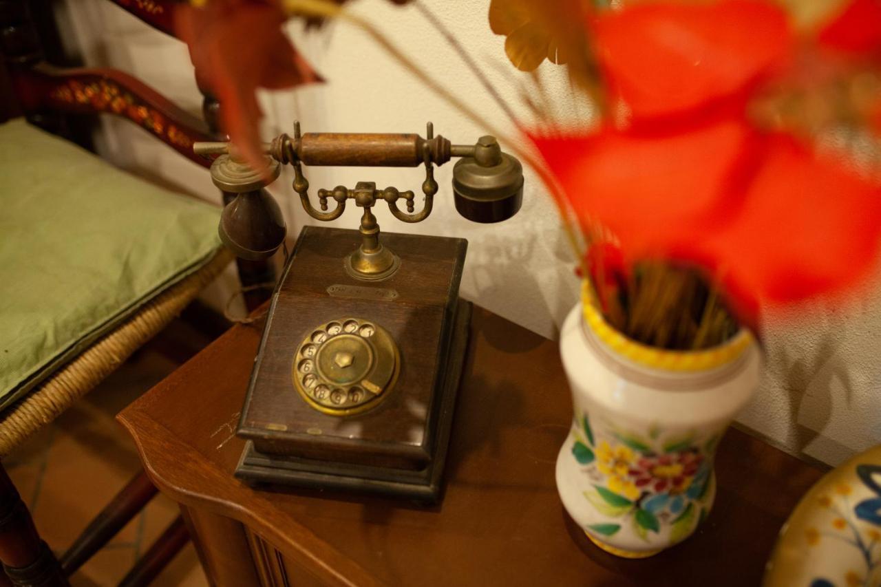 B&B Villa Il Noce Picinisco Ngoại thất bức ảnh
